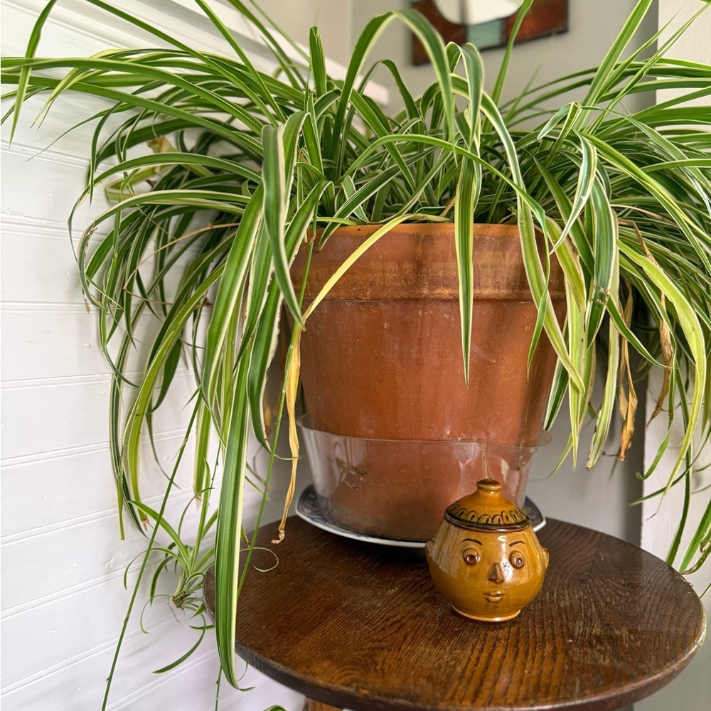 Handcrafted Brown Ceramic Face Jar - Picture 11 of 12